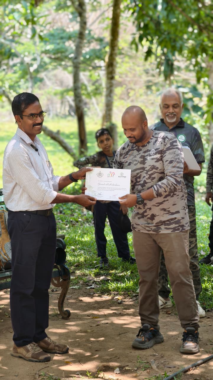 Forest restoration